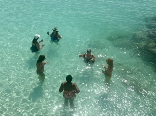 group water pic